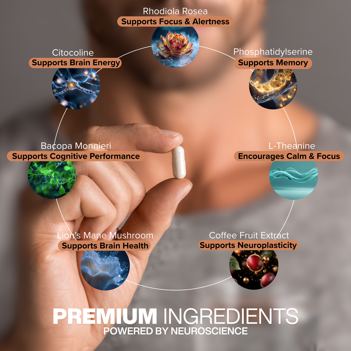 The NeuroFocus+ (Nootropic Brain) Stack