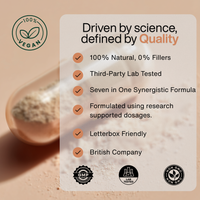 The NeuroFocus+ (Nootropic Brain) Stack