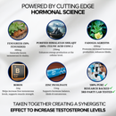 The Testosterone Stack